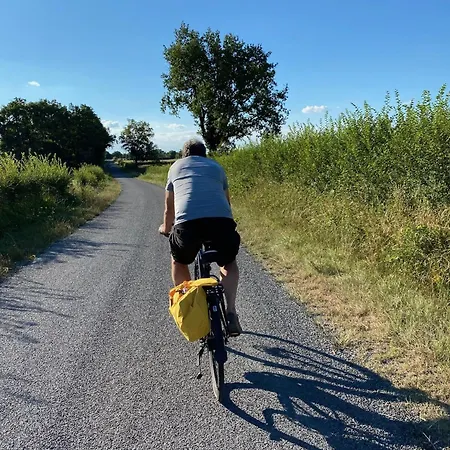 Domaine La Bouliniere - Le Sanglier Journet