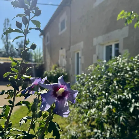 Domaine La Bouliniere - Le Sanglier